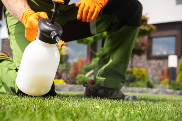 Professional Pest Control in Fishersville, VA